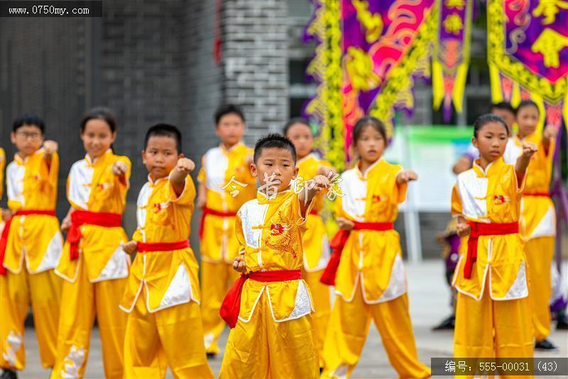 蔡李佛拳_非遗,功夫,武术,蔡李佛