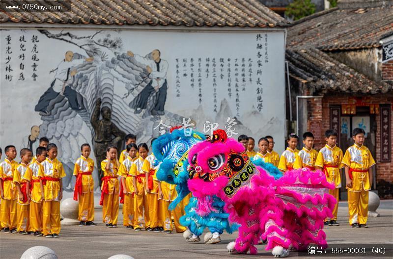 蔡李佛拳_非遗,功夫,武术,蔡李佛