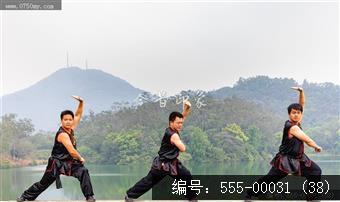 蔡李佛拳