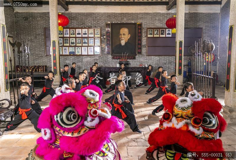 蔡李佛拳_非遗,功夫,武术,蔡李佛