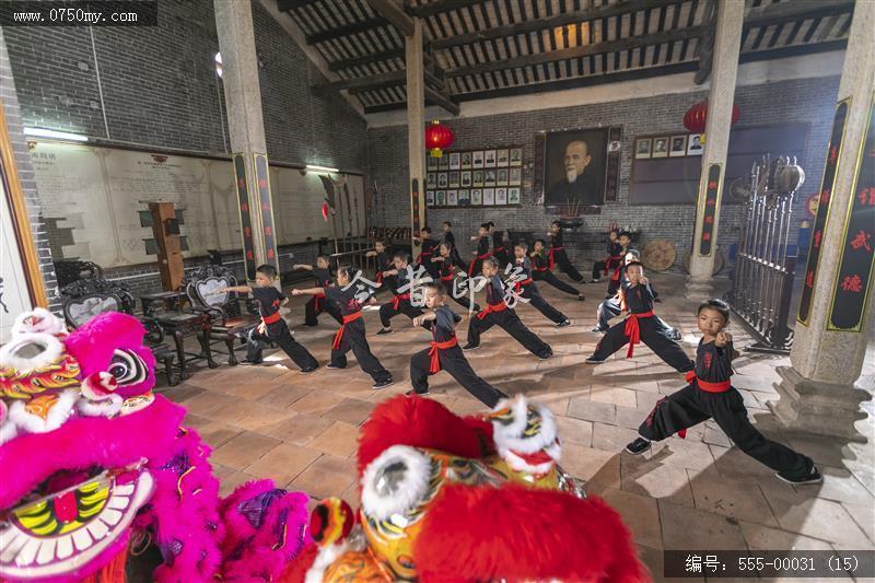 蔡李佛拳_非遗,功夫,武术,蔡李佛