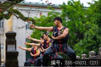 蔡李佛拳