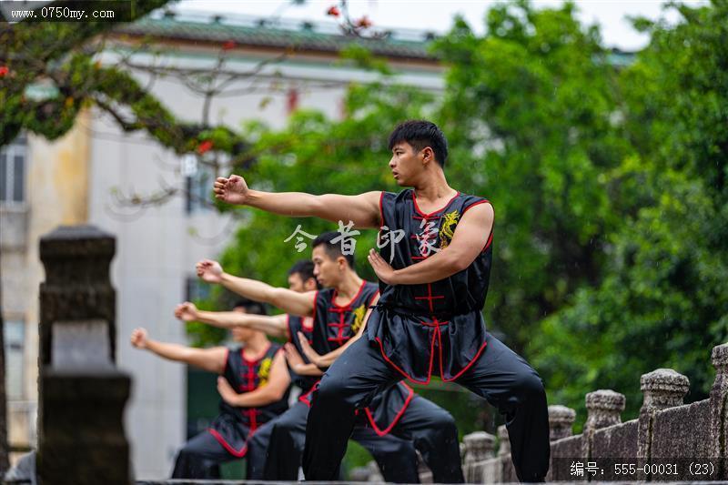 蔡李佛拳_非遗,功夫,武术,蔡李佛