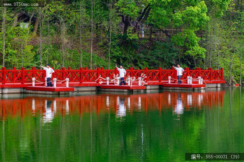 蔡李佛拳_非遗,功夫,武术,蔡李佛