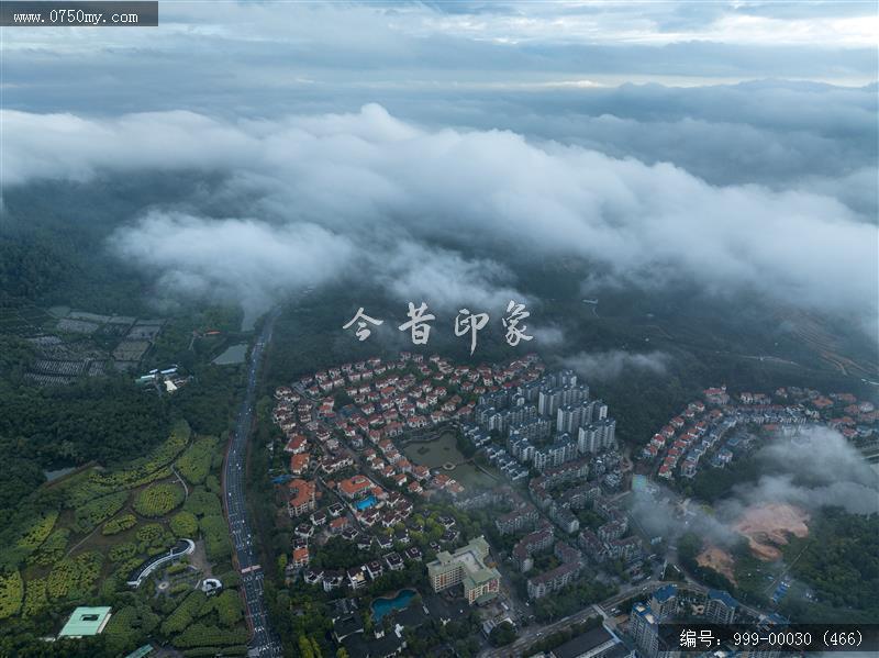 葵博园_旅游景点,城市景色