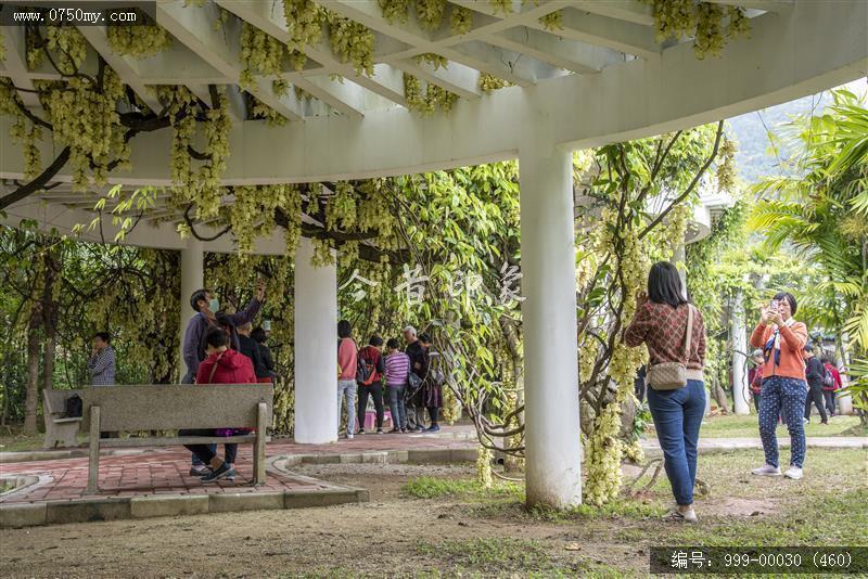 葵博园_旅游景点,城市景色