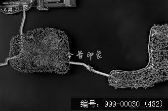 葵湖公园