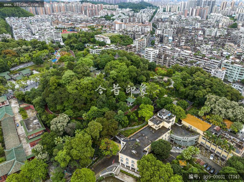 新会学宫_地标,城市景色