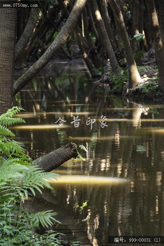 葵林_葵林,地方特色,自然