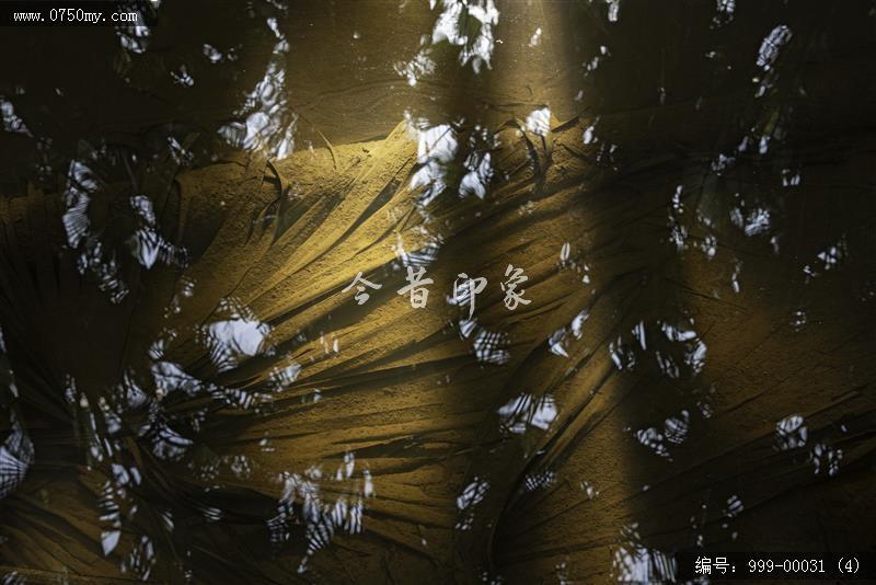葵林_葵林,地方特色,自然