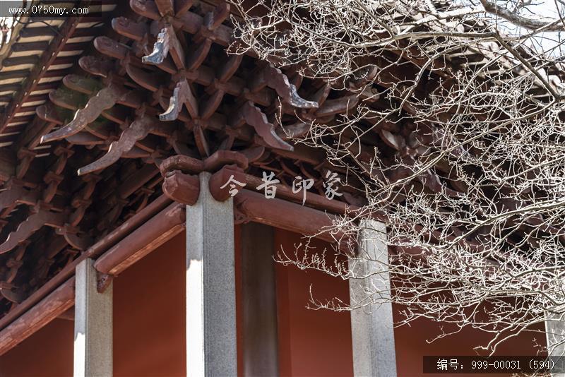 新会学宫_地标,城市景色