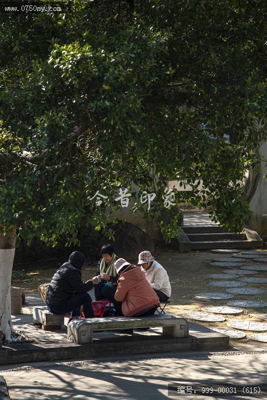 新会学宫_地标,城市景色