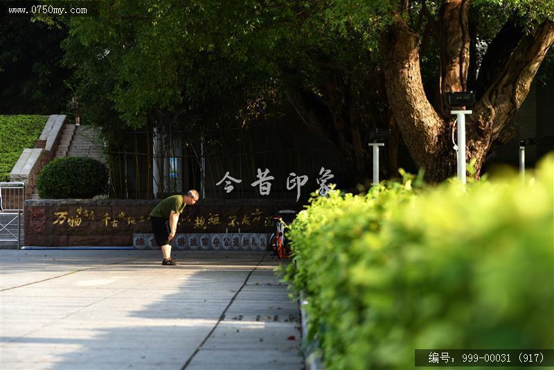 永镇山门_城市景色