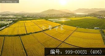 沙堆镇