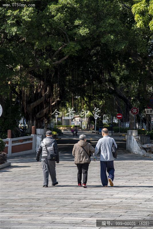 新会学宫_地标,城市景色