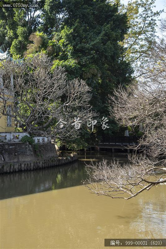 新会学宫_地标,城市景色