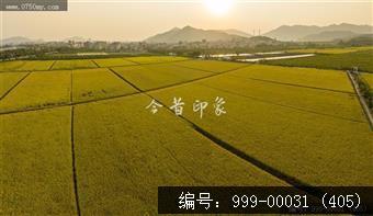 沙堆镇