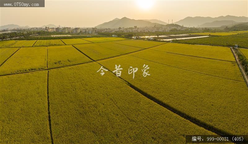 沙堆镇_航拍,美丽乡村,城乡一体