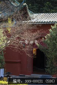 新会学宫