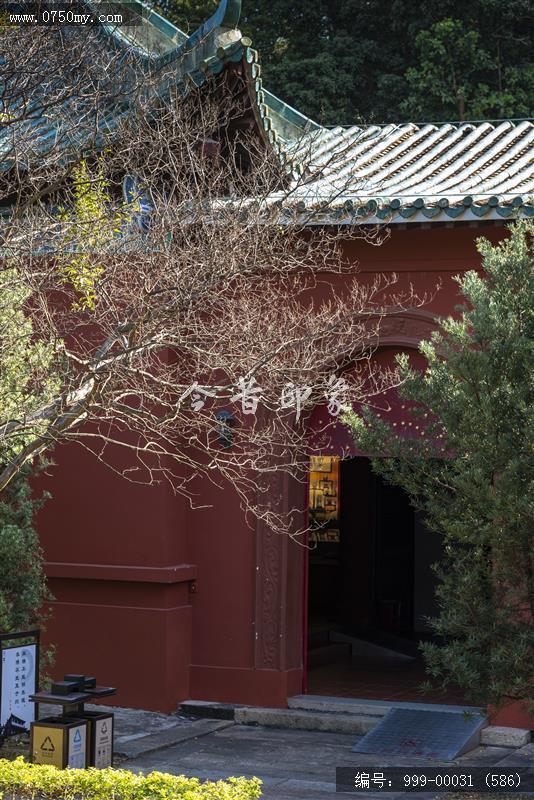 新会学宫_地标,城市景色