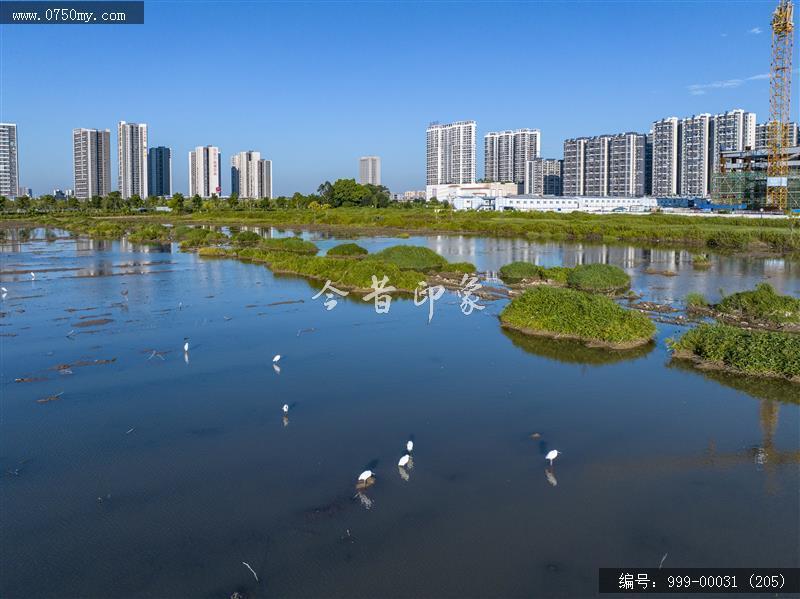 梅江生态园_人居环境,城市景色