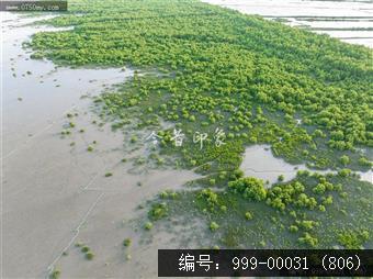 银湖湾