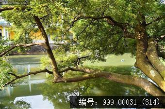盆趣园