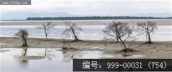 银湖湾