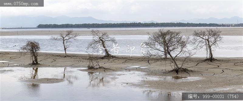 银湖湾_旅游景点,自然
