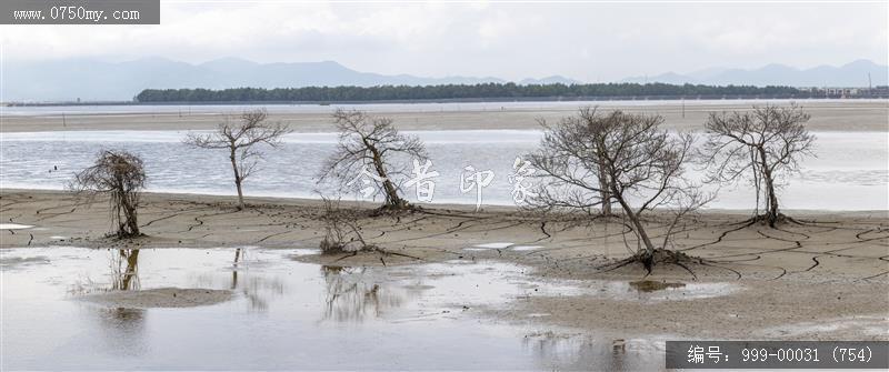 银湖湾_旅游景点,自然