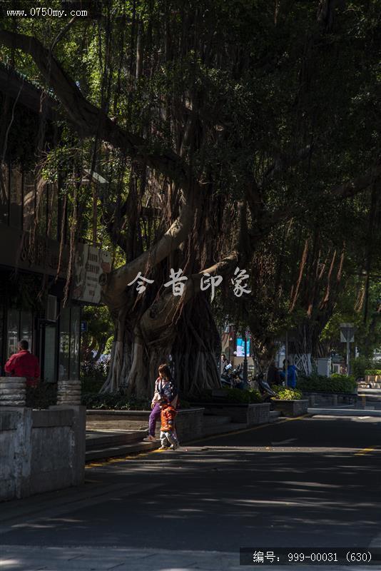 新会学宫_地标,城市景色