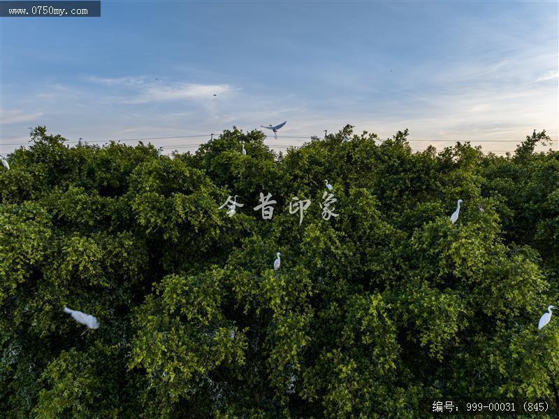 银湖湾_旅游景点,自然