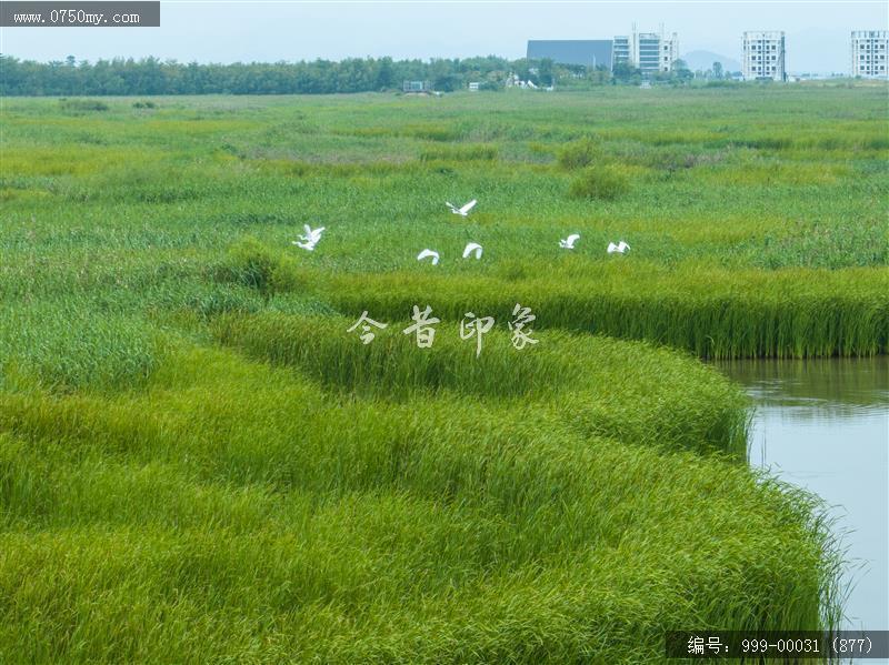 银湖湾_旅游景点,自然