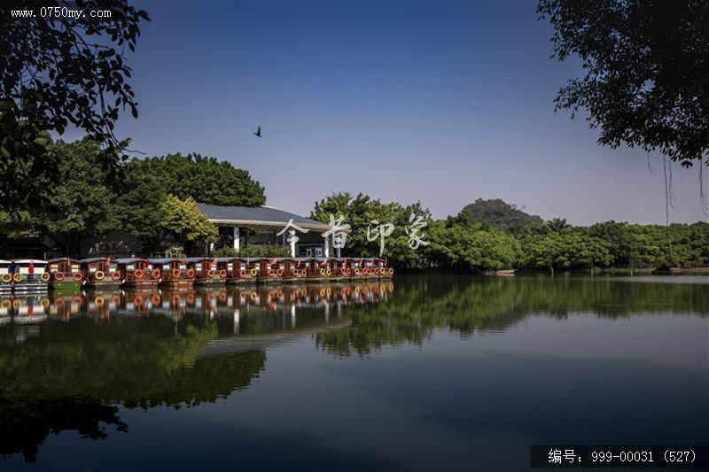 小鸟天堂_旅游景点,地标