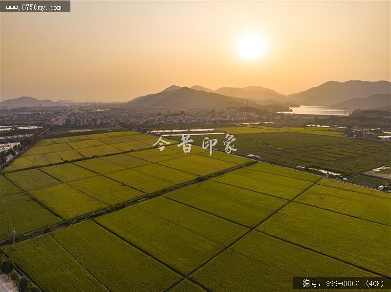 沙堆镇_航拍,美丽乡村,城乡一体