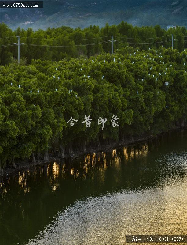 银湖湾_旅游景点,自然