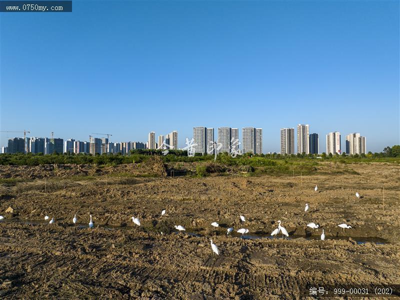 梅江生态园_人居环境,城市景色