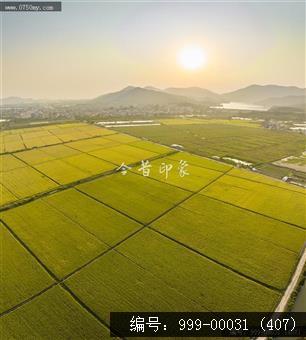 沙堆镇