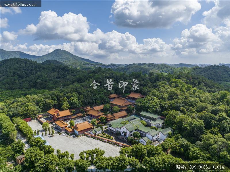 紫云观_旅游景点
