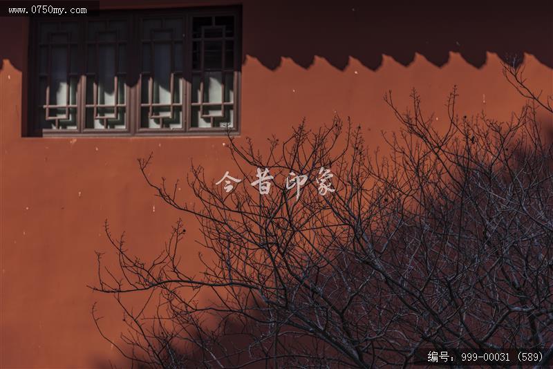 新会学宫_地标,城市景色