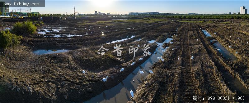 梅江生态园_人居环境,城市景色