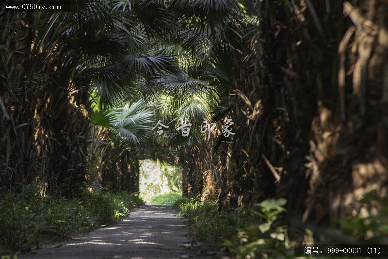 葵林_葵林,地方特色,自然