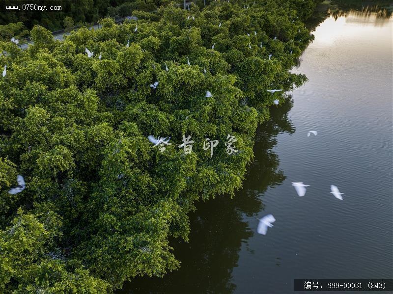 银湖湾_旅游景点,自然