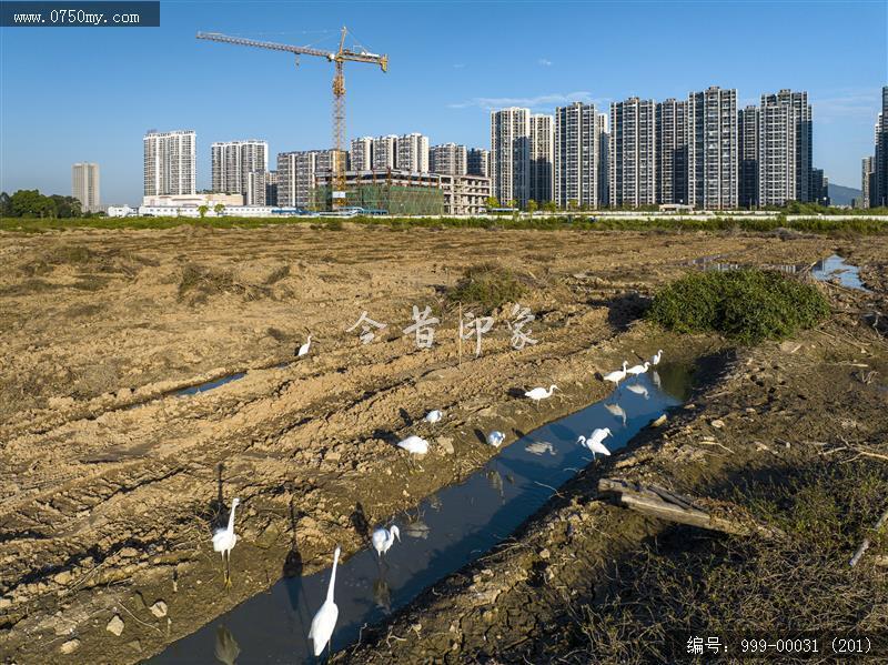 梅江生态园_人居环境,城市景色