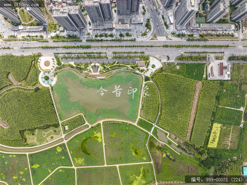 梅江生态园_人居环境,城市景色
