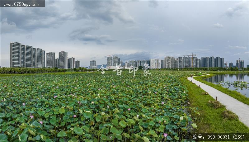 梅江生态园_人居环境,城市景色
