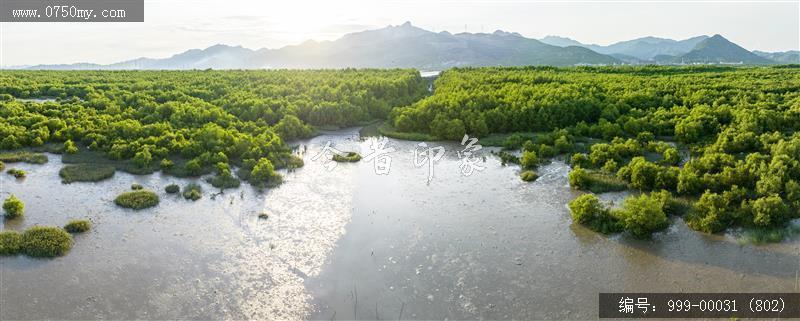 银湖湾_旅游景点,自然