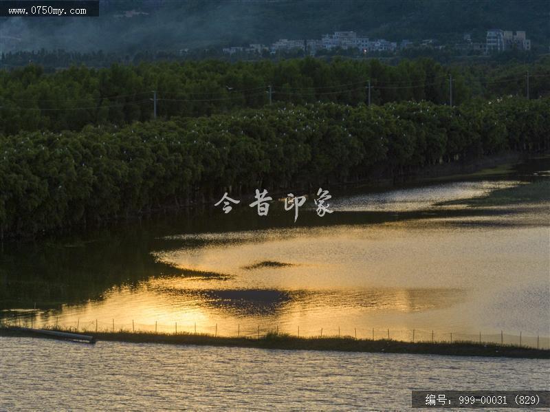 银湖湾_旅游景点,自然