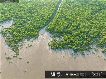银湖湾