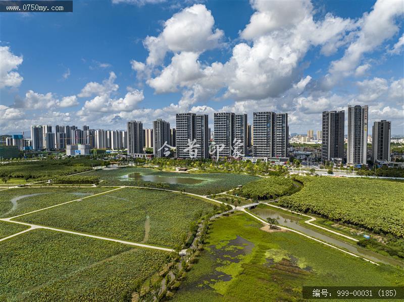 梅江生态园_人居环境,城市景色